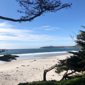 Meet your Posher, Greti